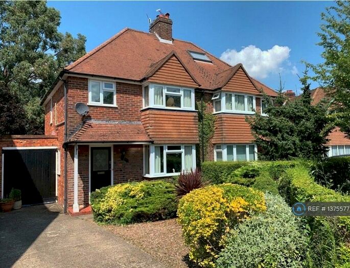6 Bedroom Semi-Detached House To Rent In Beech Grove, Guildford, GU2