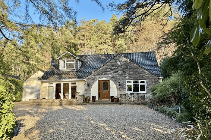 5 Bedroom Detached House For Sale In St. Ives Park, Ashley Heath, BH24