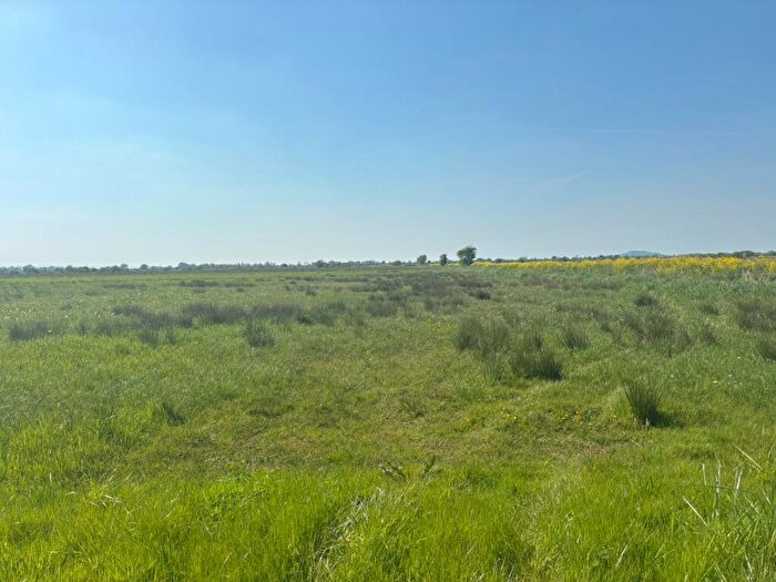 Farm Land For Sale In White House Drove, Heath House, Wedmore, BS28