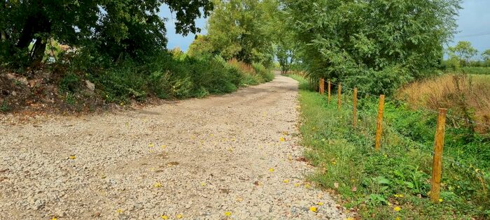 Land For Sale In Moor Lane, Wimborne, BH21