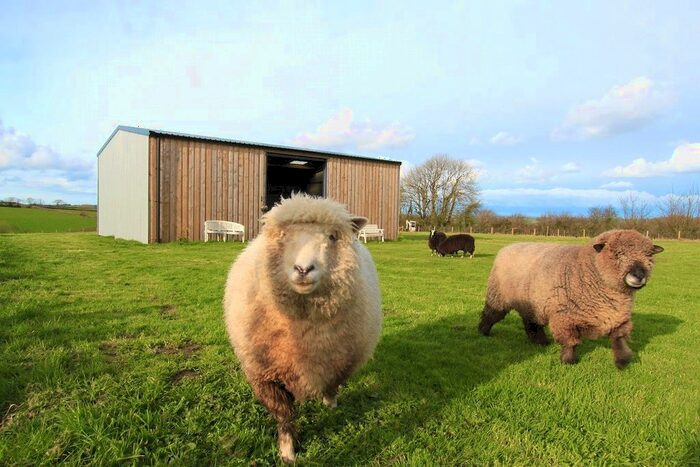 Land For Sale In Woodacott, Holsworthy, EX22