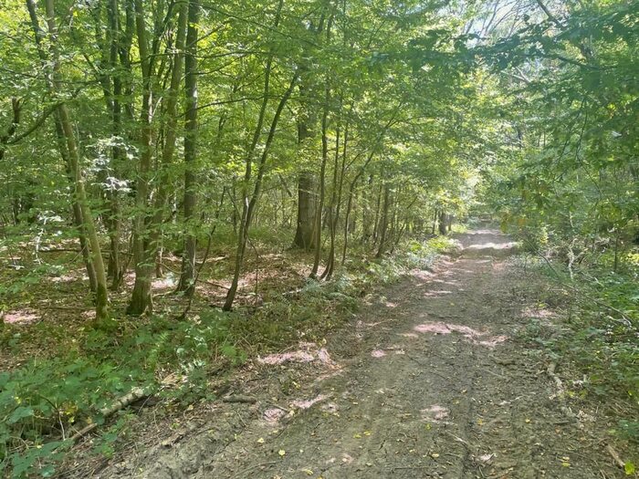 Property For Sale In Plots &amp; Hoads Wood, Off Bethersden Road, Great Chart, Ashford, Kent, TN26