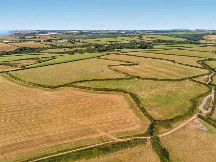 Land For Sale In Morwenstow, Bude - Cornwall, EX23