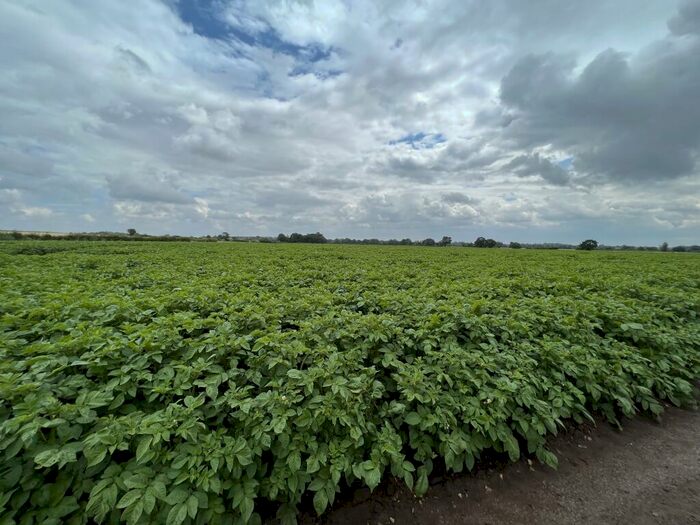 Farm Land For Sale In Farm Land At Vong Lane, Pott Row, PE32