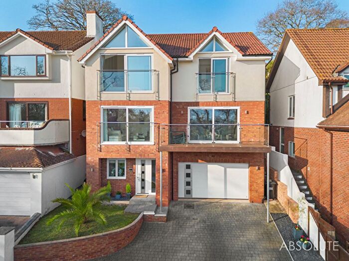 4 Bedroom Detached House For Sale In Badger Close, Paignton, TQ3
