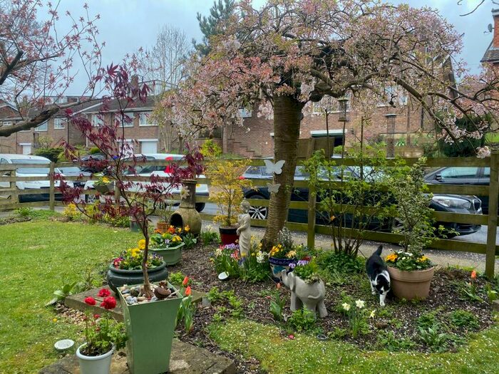 2 Bedroom Flat To Rent In Dalebank Mews, Clifton, Swinton, M27