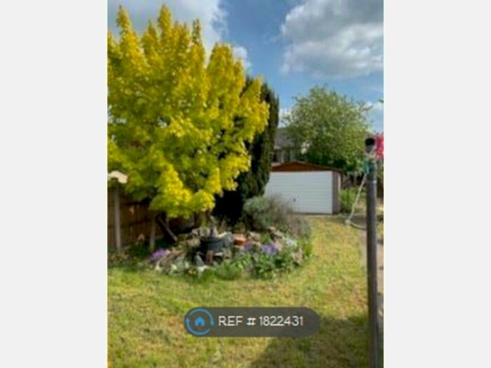 3 Bedroom Semi-Detached House To Rent In Uttoxeter New Road, Derby, DE22