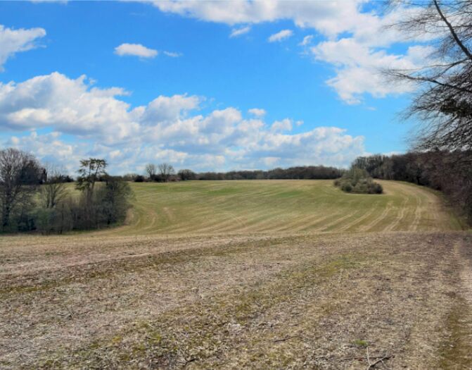 Land For Sale In Land Off Coombe Lane, West Meon, GU32