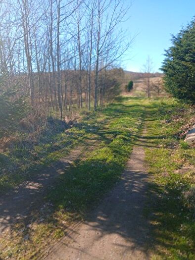 3 Bedroom Land For Sale In Plot At Muir Of Ruthrie, Aberlour, AB38