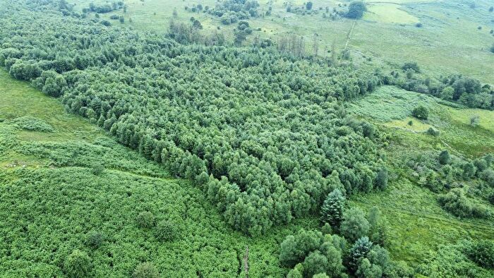 Land For Sale In Cellan, Lampeter, SA48