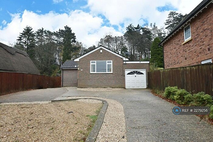 3 Bedroom Bungalow To Rent In Lonnen Road, Wimborne, BH21