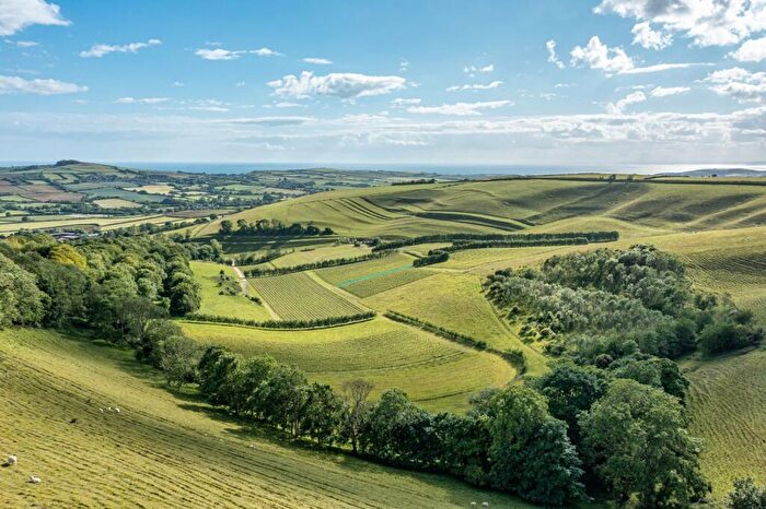 4 Bedroom House For Sale In Litton Cheney, Dorchester, Dorset, DT2