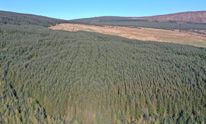 Land For Sale In Ryes Forest, Bogknowe, DG2