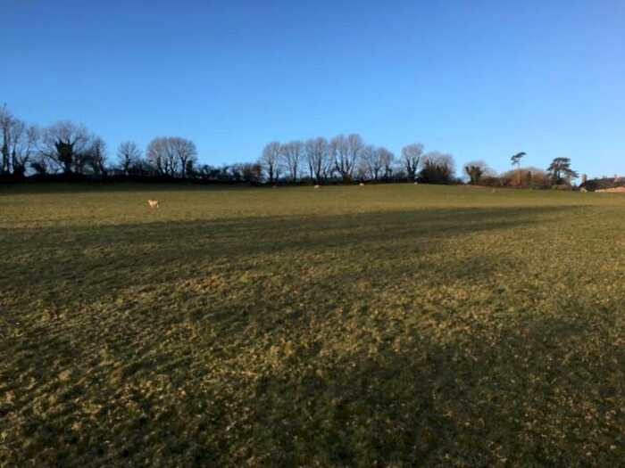 Commercial Land For Sale In Lot 3 - Land At Hall Torrs, PL8