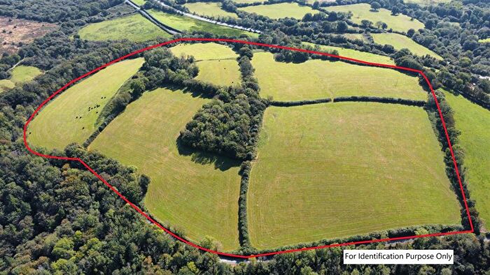 Land For Sale In Llanddewi Velfrey, Narberth, SA67