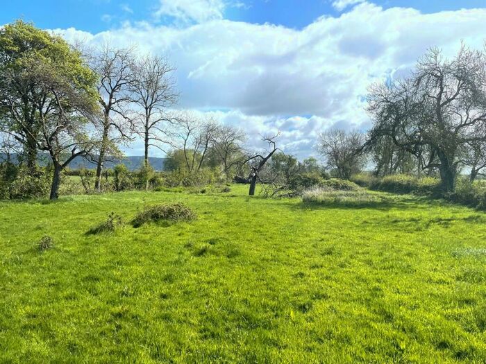Farm Land For Sale In Lot B - Pillmead Lane, Wedmore, BS28