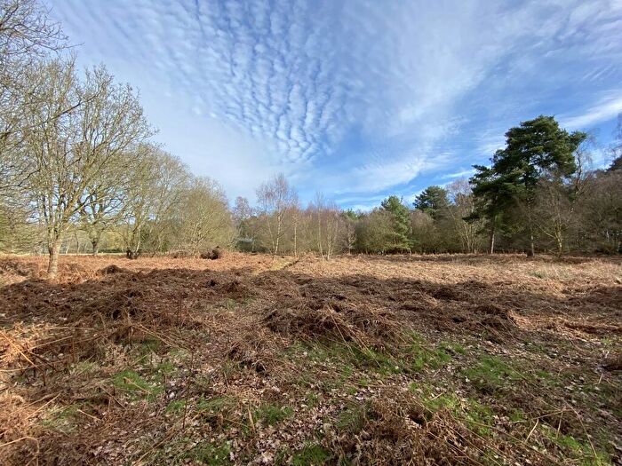 Farm Land For Sale In Woodland/Amenity Land, The Wilderness, Shortthorn Road, Stratton Strawless, Norwich, Norfolk, NR10