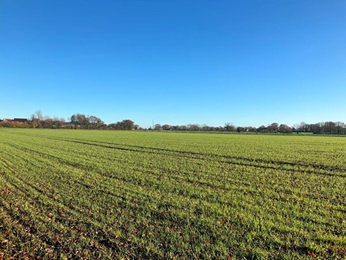 Farm Land For Sale In Tivetshall St. Margaret, Norwich, Norfolk, NR15