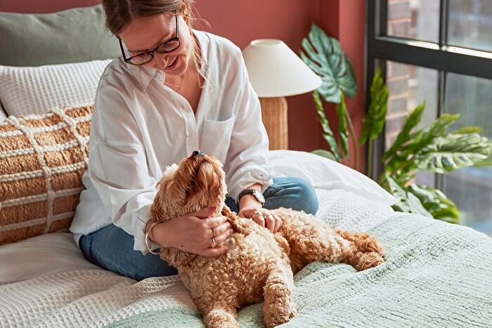 1 Bedroom Apartment To Rent In Pitsford Street, Birmingham, B18