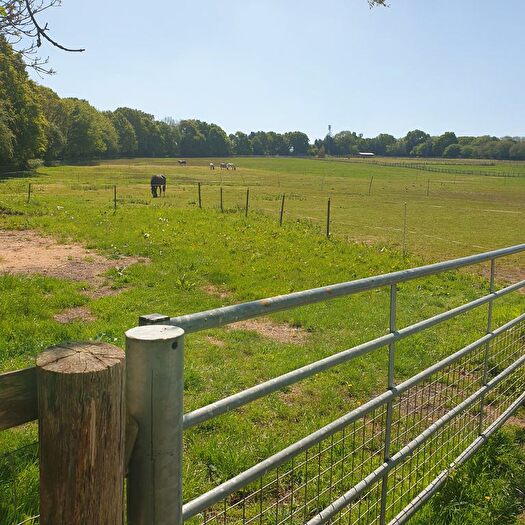 Land For Sale In Hammer Lane, Farnham, GU10