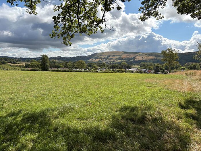 Farm Land For Sale In Llysnewydd, Cilycwm, Llandovery, Carmarthenshire, SA20