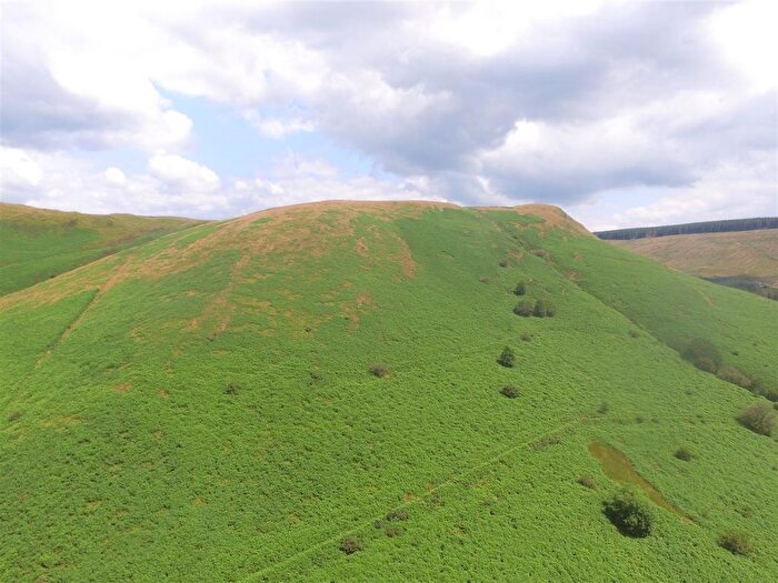 Farm For Sale In Rhandirmwyn, Llandovery, SA20