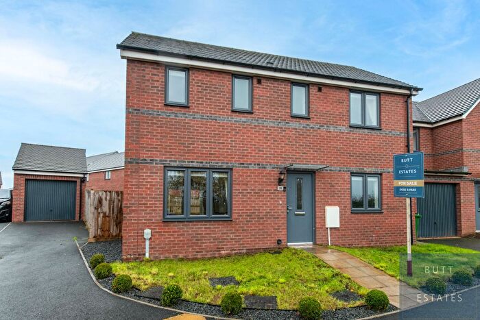 3 Bedroom Detached House For Sale In Aldridge Place, Exeter, EX1