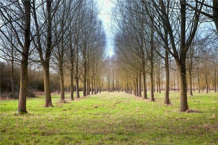 Land For Sale In Catsgore, Somerton, Somerset, TA11