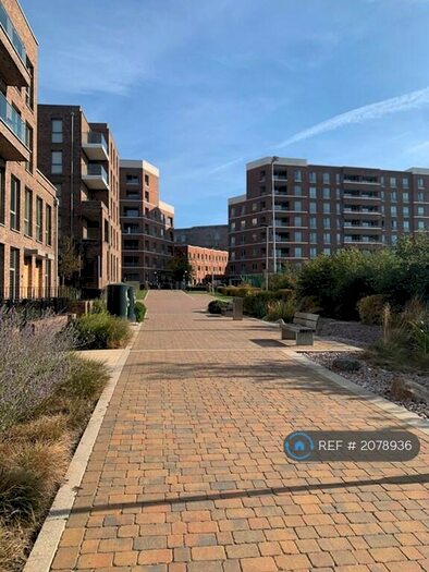 3 Bedroom Terraced House To Rent In Ripplegate Walk, Barking Riverside, IG11