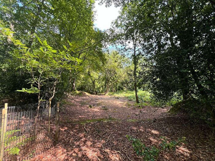 Land For Sale In Straight Mile, Ampfield, Romsey, SO51
