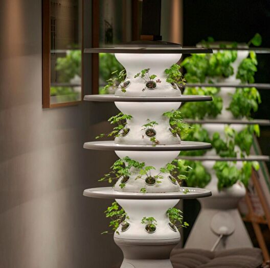 1 Bedroom Flat To Rent In Moat Street, London, SW11