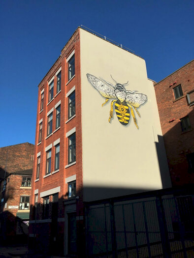 1 Bedroom Apartment To Rent In Little Lever Street, Bedroom Apartment, M1