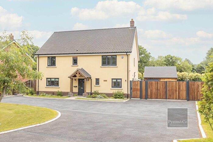 5 Bedroom Detached House For Sale In Wymondham Collage Within Easy Reach, Norwich Road, Besthorpe, NR17