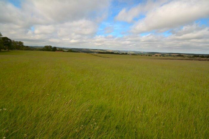 Farm Land For Sale In Land At Slaley, NE47