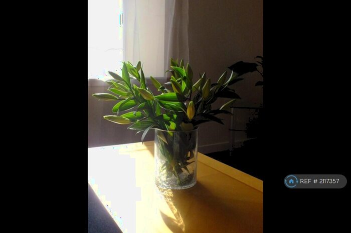 1 Bedroom Flat To Rent In John Knox Court, Aberdeen, AB24