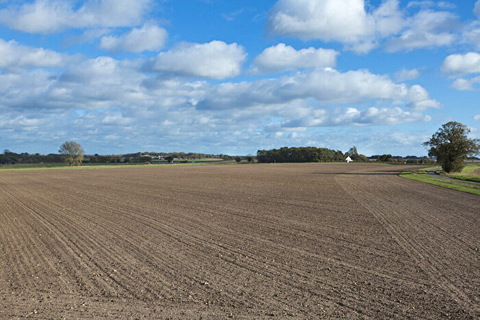 Land For Sale In Lot - Manor Farm, Staithe Road, Repps With Bastwick, Great Yarmouth, Norfolk, NR29