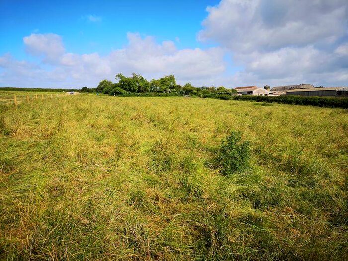 4 Bedroom Land For Sale In Building Plot And Adjoining Acre Paddock Off Carlton Lane, Norwell, Newark, NG23