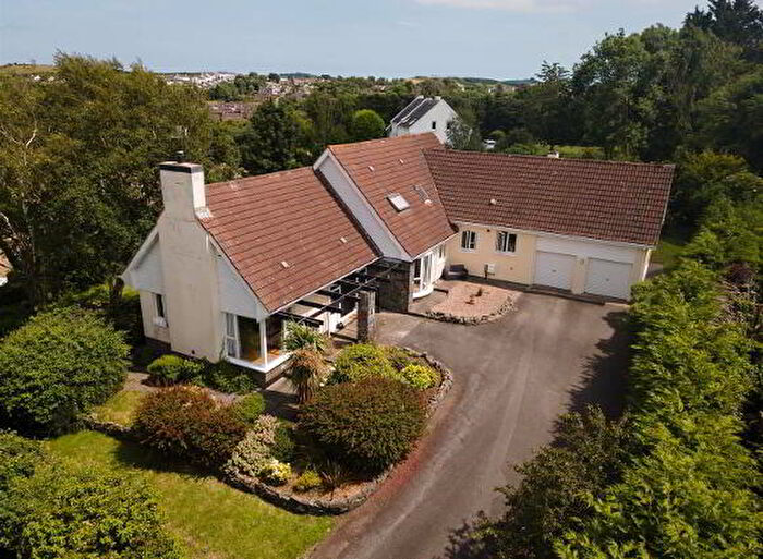 5 Bedroom Detached House For Sale In Bulls Eye Park, Downpatrick, BT30