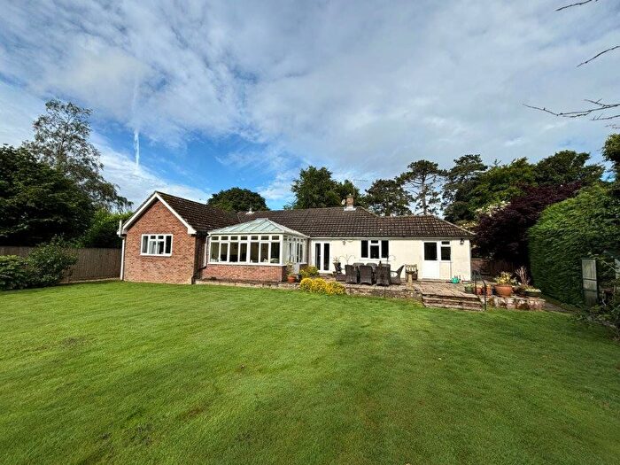 4 Bedroom Bungalow To Rent In Trinity Hill, Medstead, Alton, Hampshire, GU34