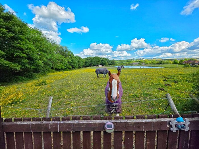 2 Bedroom Semi-Detached Bungalow For Sale In Green Spring Avenue, Birdwell, Barnsley, S70