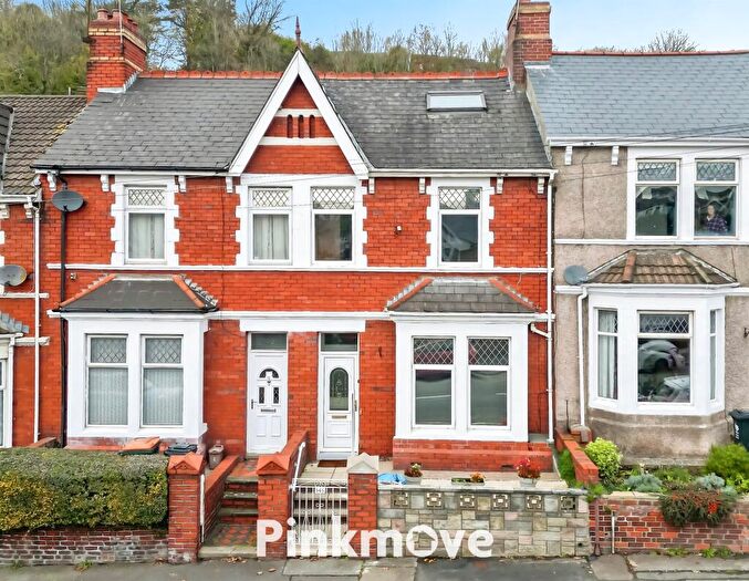 3 Bedroom Terraced House For Sale In Chepstow Road, Newport, NP19