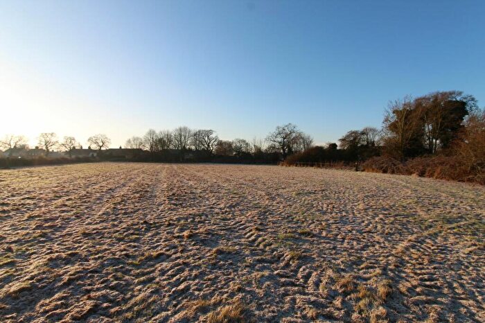 Land For Sale In Grazing Land At Horning, Horning, Norwich, NR12