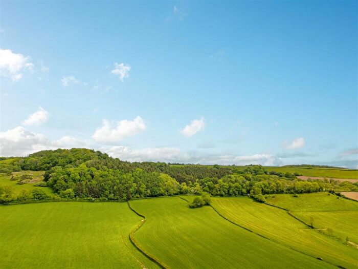 Farm Land For Sale In Colyton, East Devon, EX24