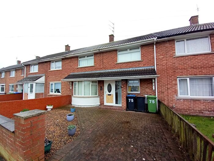 3 Bedroom Terraced House For Sale In Central Drive, Spennymoor, County Durham, DL16