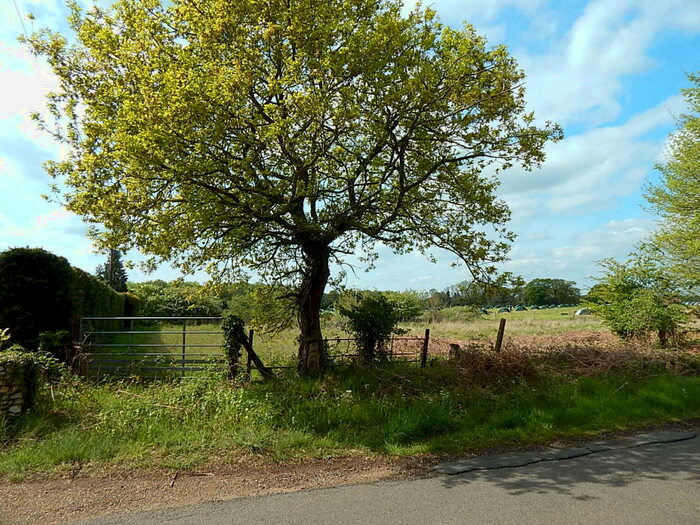 Land For Sale In Land Off Elmham Road, Beetley, Dereham, Norfolk, NR20