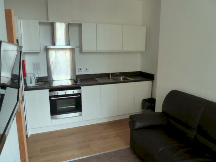 Studio To Rent In Whitefield Tce, Flat Greenbank Road, PL4