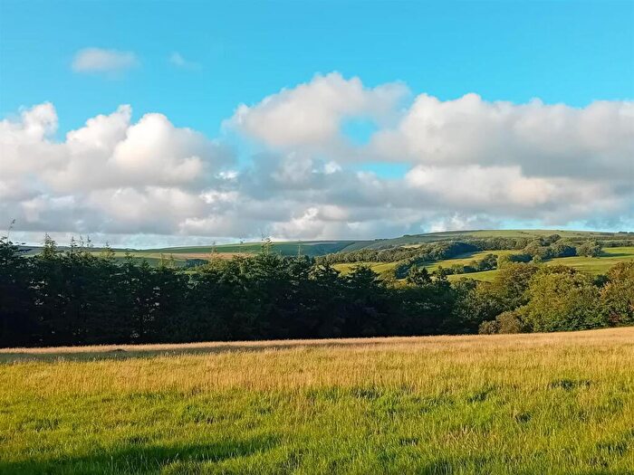 Land For Sale In Just South Of Exmoor, EX36