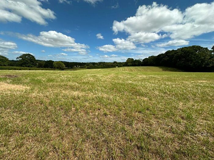 Land For Sale In Corscombe, Dorchester, DT2