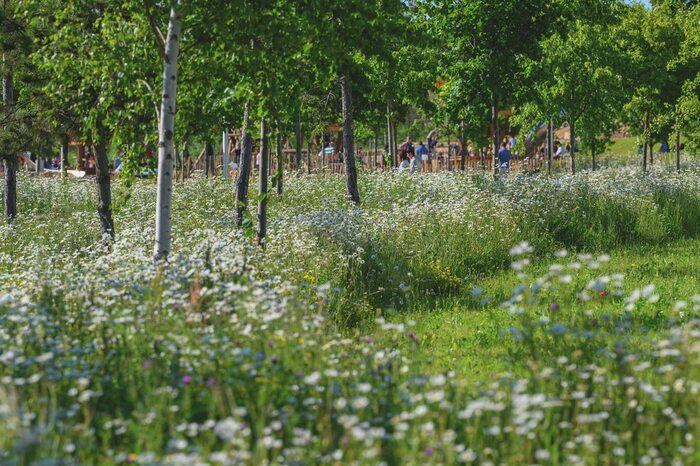 2 Bedroom Flat For Sale In Kidbrooke Village Sales And Marketing Suite, Kidbrooke, Greenwich, SE3