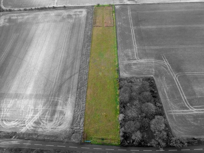 Land For Sale In Chrishall Road, Fowlmere, SG8